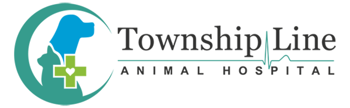 Township Line Animal Hospital